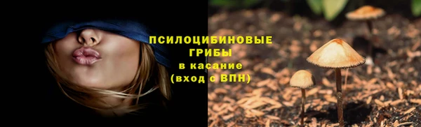 шишки Абинск