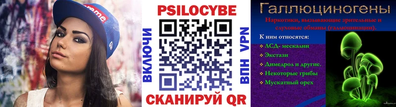 Галлюциногенные грибы Psilocybe  Нерчинск 